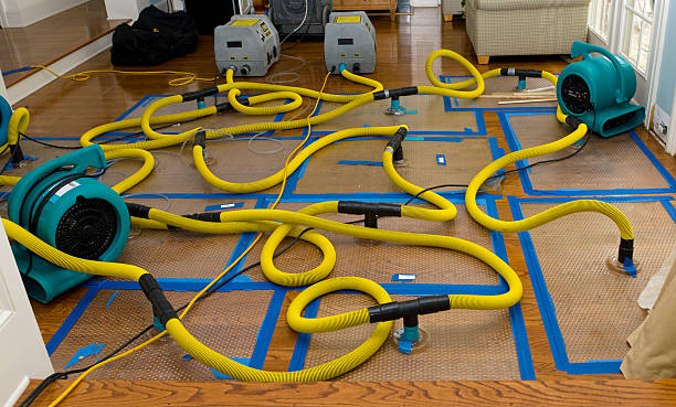 Professional Basement Flood Cleanup technician working in Brookston, IN